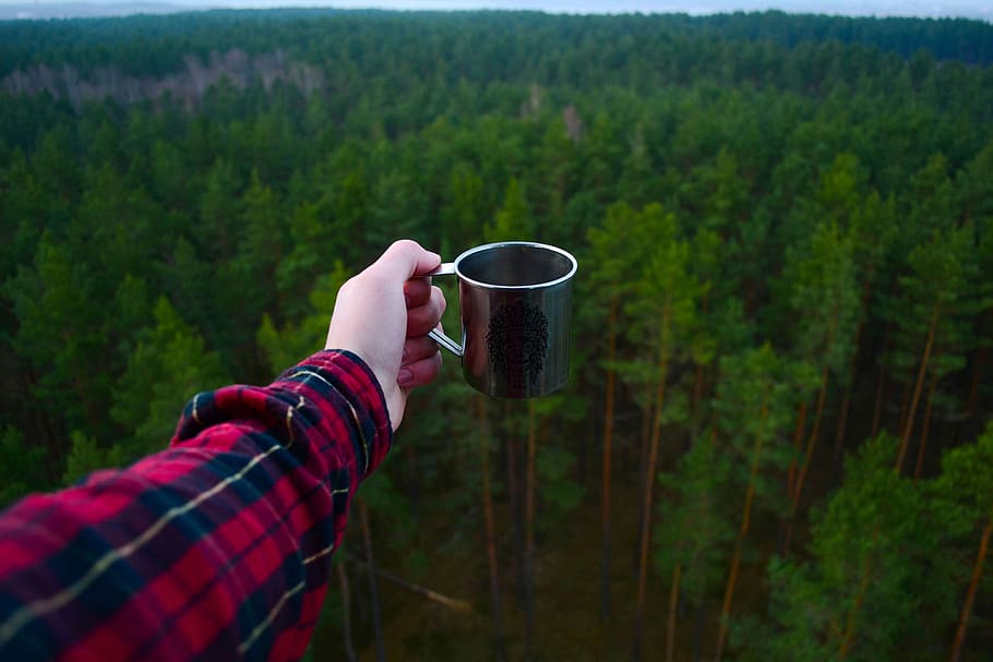 Holding a Cup over the forest, photos, hand, public domain, trees, HD wallpaper