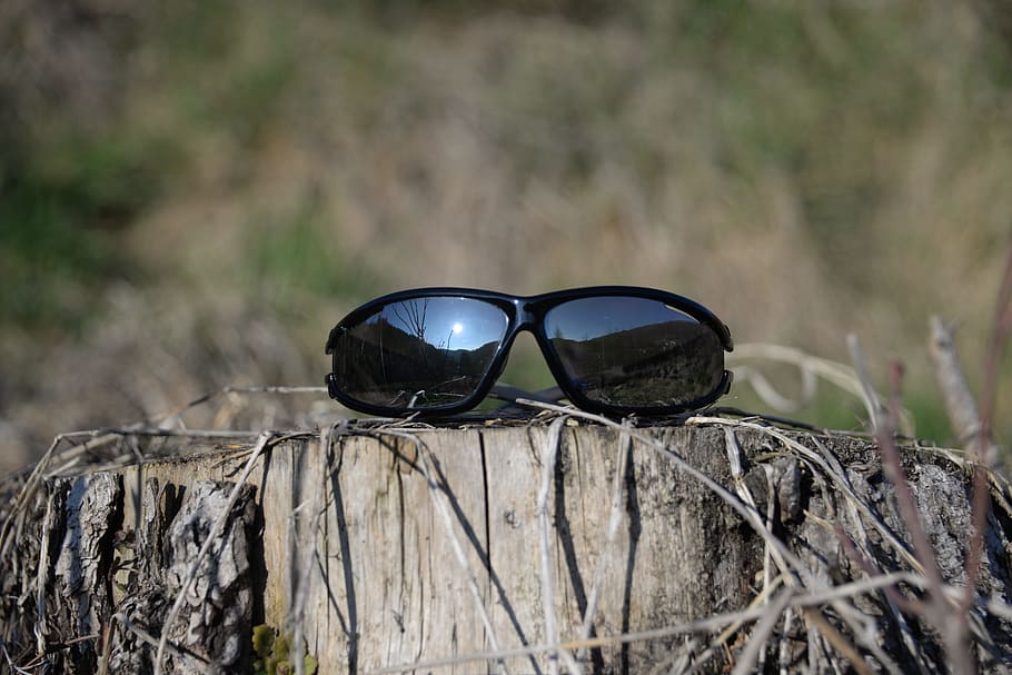 Sunglasses, Tree Stump, Mirroring, eyeglasses, nature, outdoors HD wallpaper