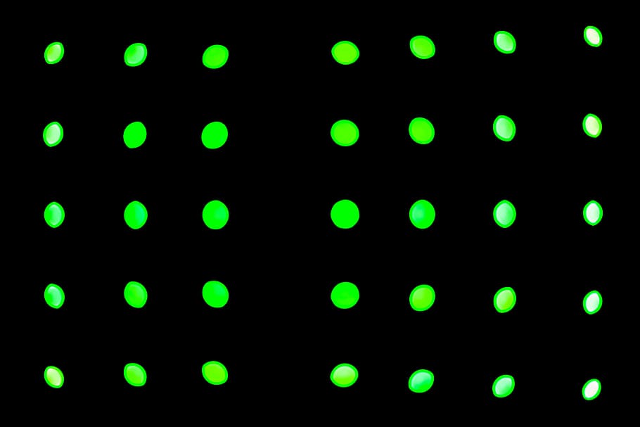 green LEd lights, green polka-dots on black background, color HD wallpaper