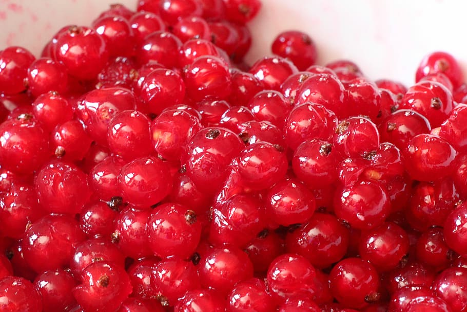 Currant, Close, Soft Fruit, red, red currant, sour, shiny, garden HD wallpaper
