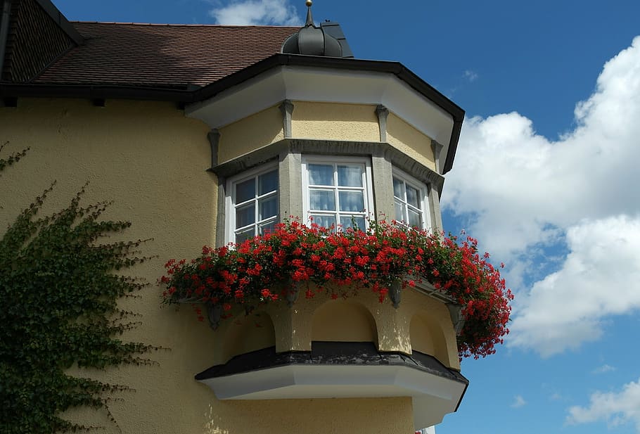 bay window, homes, live, architecture, stem, building, flowers HD wallpaper