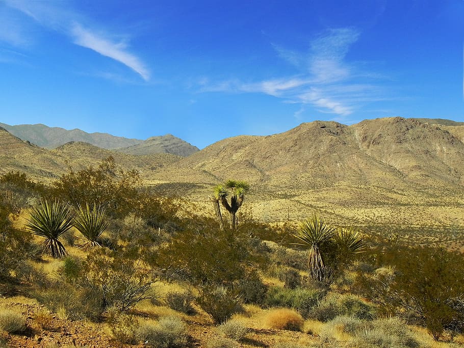 desert, blue, sky, hot, sand, dry, landscape, nature, arid HD wallpaper