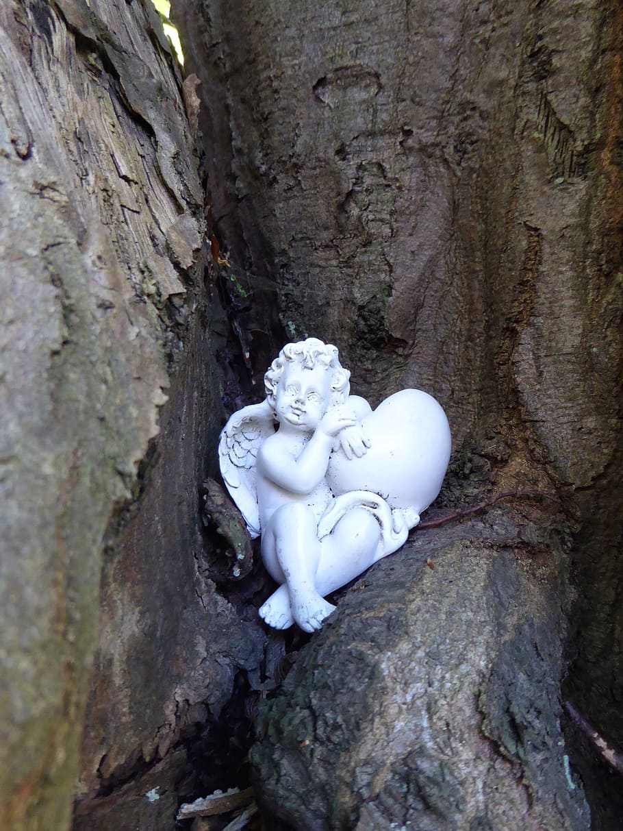 tree, angel, harmony, luck, love, recovered, ease, human representation HD wallpaper