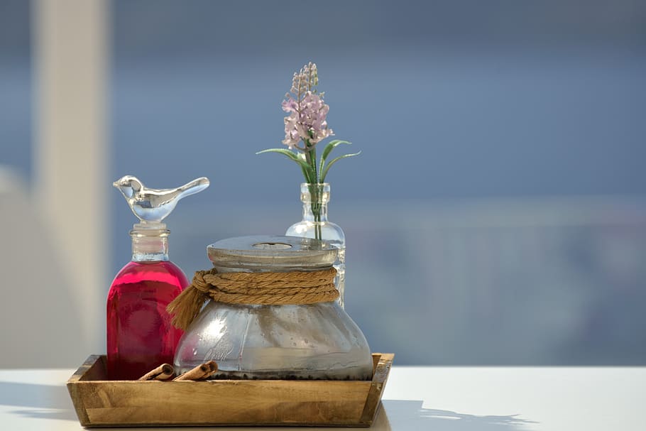 table decoration, vase, flower, flowering plant, container HD wallpaper