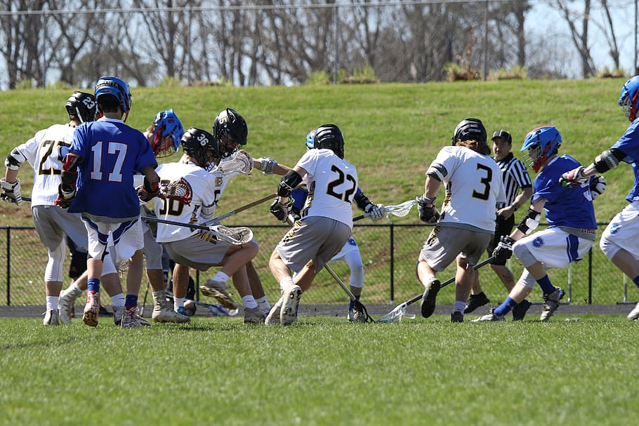 lacrosse, team, play, sport, grass, clothing, plant, competition HD wallpaper