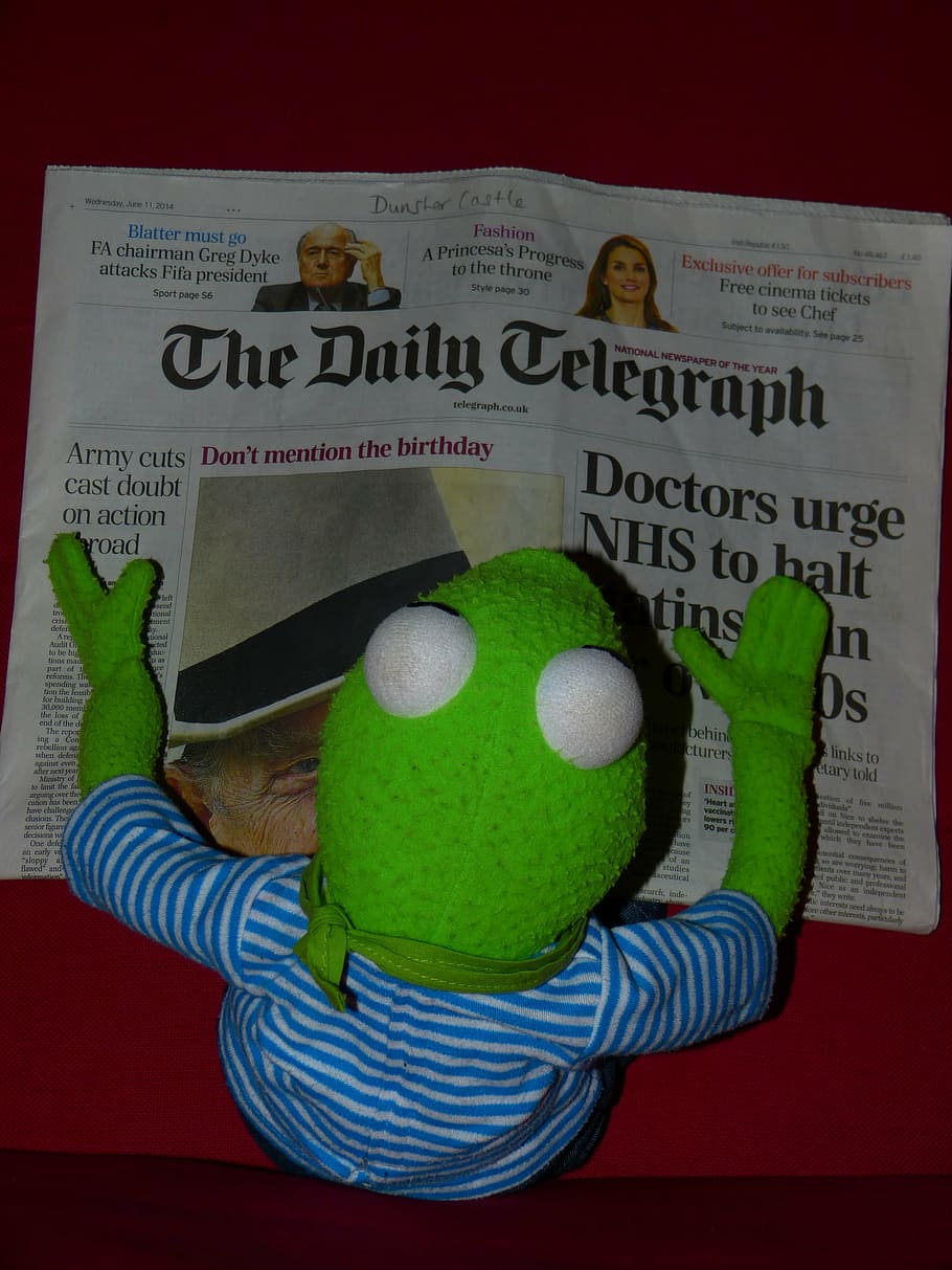 newspaper, kermit, frog, read, daily telegraph, doll, english HD wallpaper