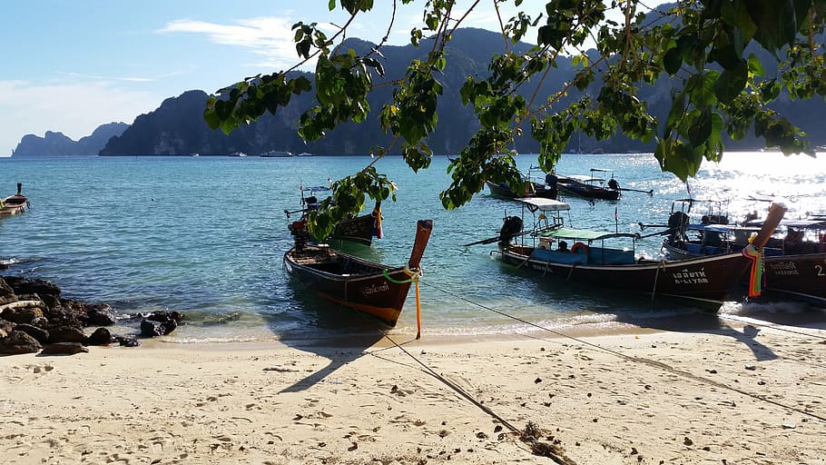 phiphi, phi phi, thailand, beach, paradise, sea, travel, water HD wallpaper