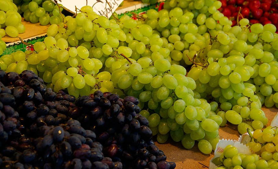 grape, vine, fruit, cluster, healthy eating, food and drink HD wallpaper