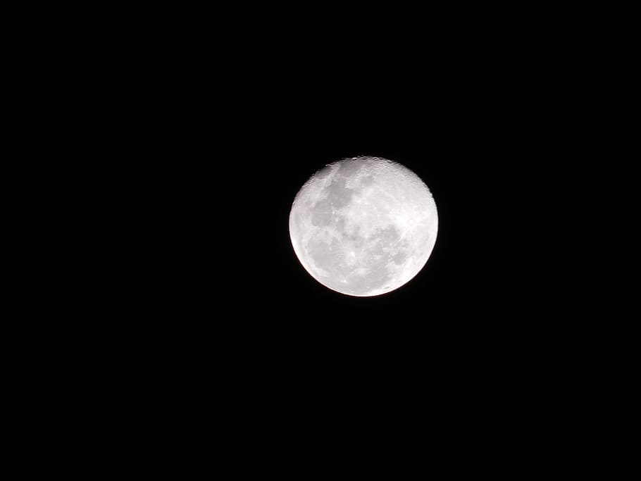 full moon, night, sky, space, astronomy, circle, beauty in nature HD wallpaper