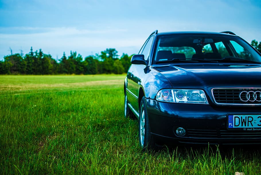 blue Audi vehicle parked on green field during daytime, Audi, A4