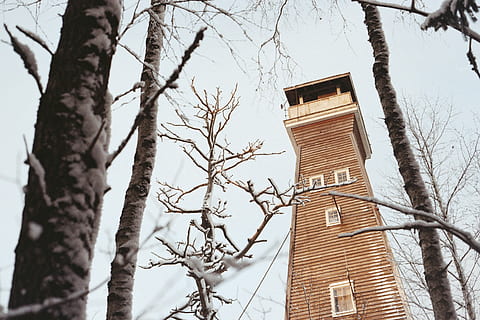 tower in forest, worm's eye view of wooden watch tower during daytime HD wallpaper