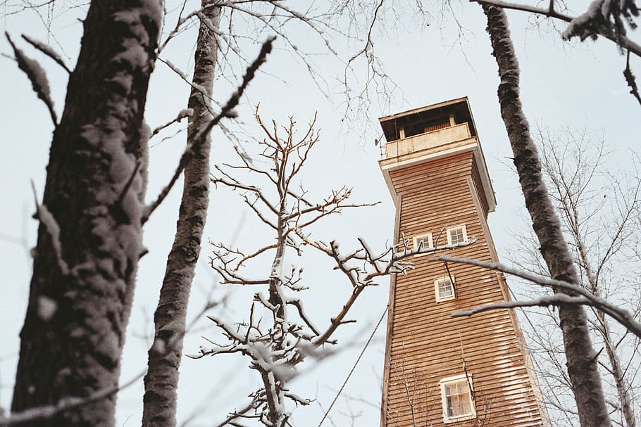 tower in forest, worm's eye view of wooden watch tower during daytime HD wallpaper