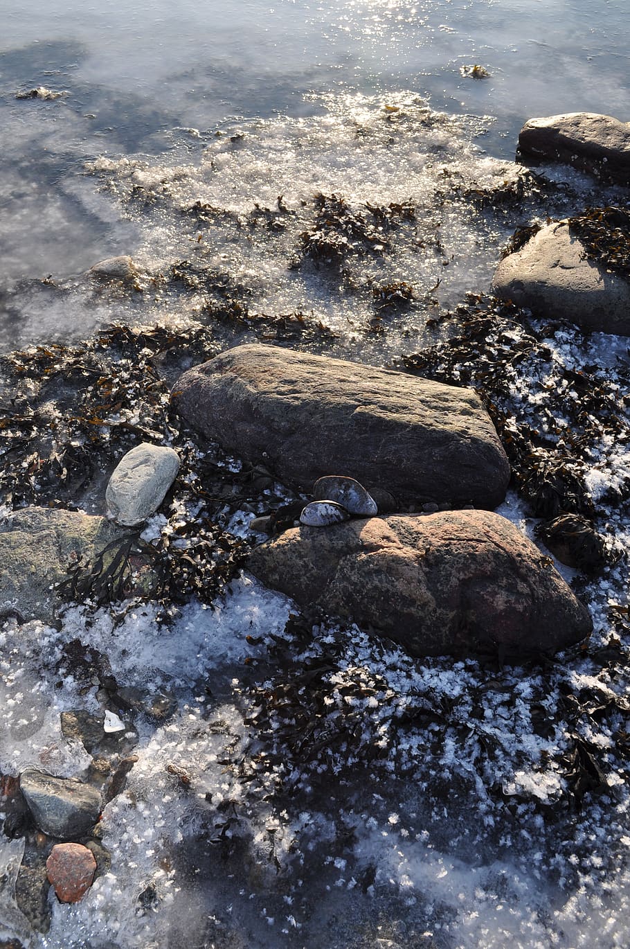 frost, beach, ice, rock, water, solid, nature, land, day, rock - object HD wallpaper
