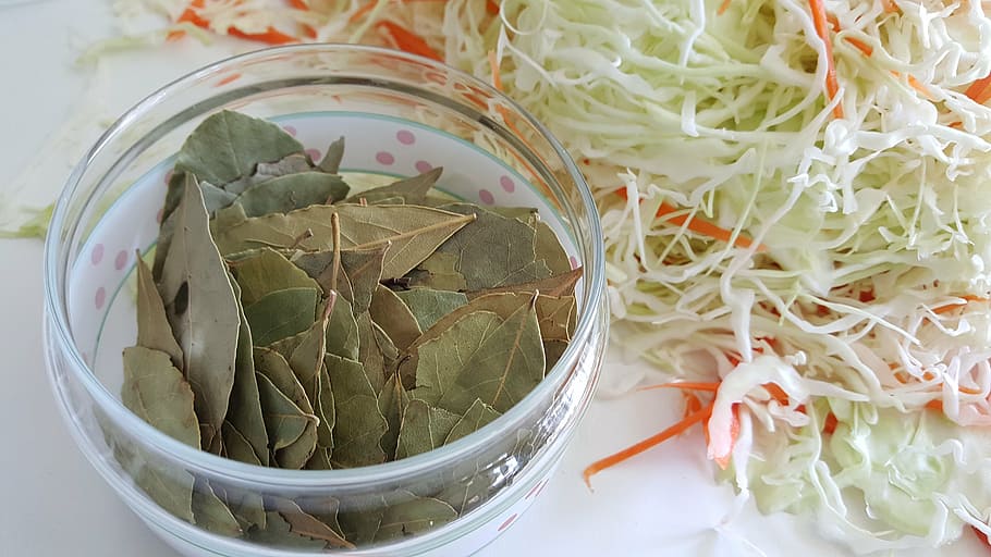 laurel, cabbage, seasoning, kitchen, food and drink, healthy eating HD wallpaper