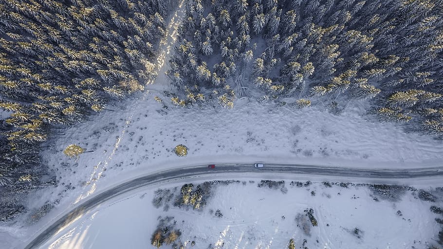 aerial photography of two red and white vehicles on road near trees at daytime, top view of snow covered trees during daytime HD wallpaper