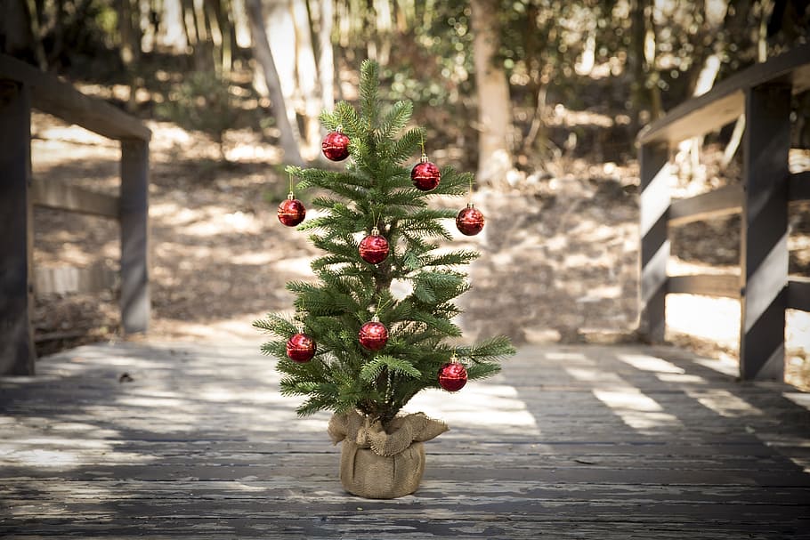 green Christmas tree with red baubles on gray wooden bridge at daytime HD wallpaper