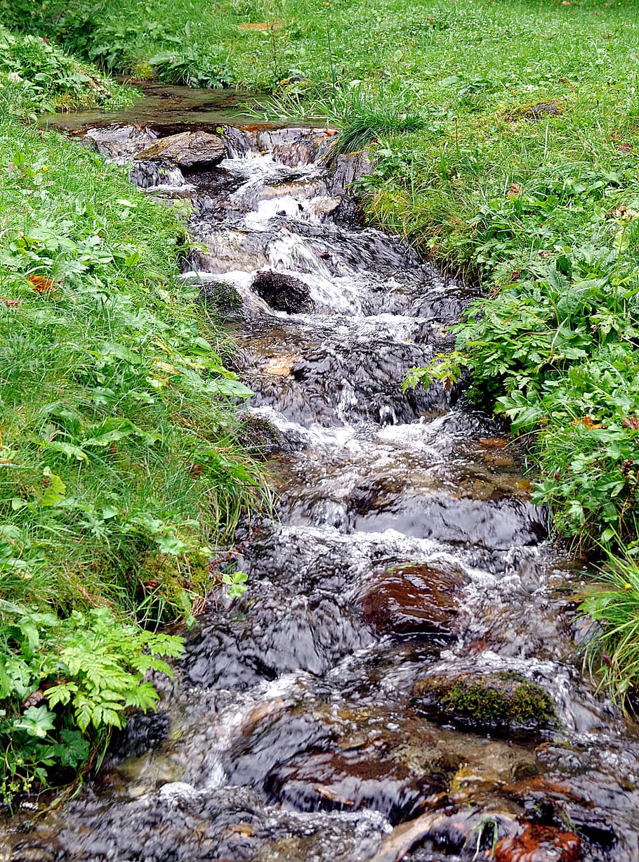 stream-torrent-mountain-water.jpg