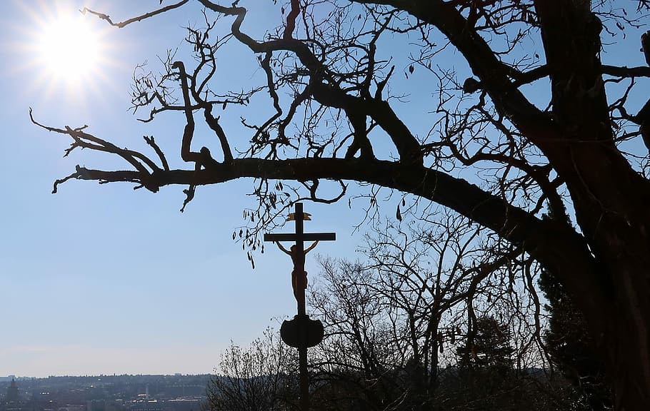 Sky, Tree, Sun, Blue, Cross, Christ, statue, religion, bare tree HD wallpaper