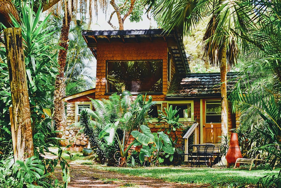 brown house near green trees, brown wooden house surrounded green trees and plants HD wallpaper