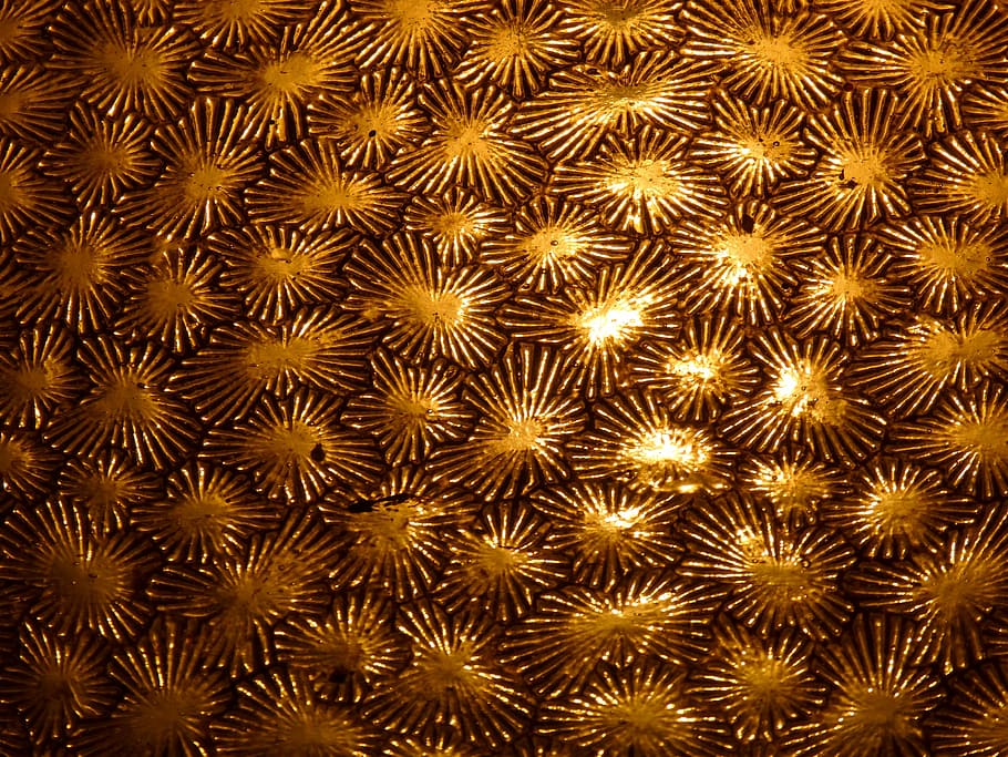 glass, old, texture, translucent, light, backgrounds, no people HD wallpaper