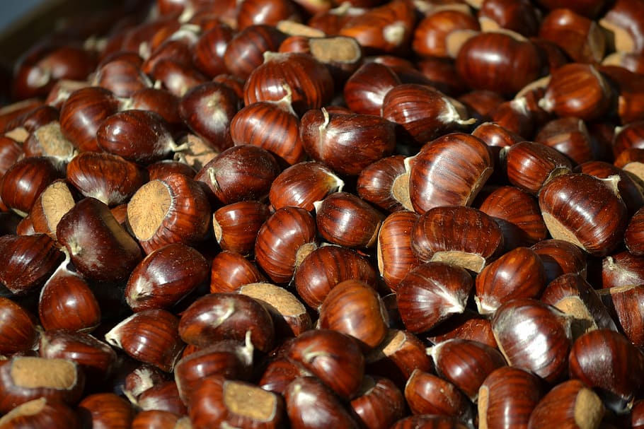 closeup photo of nuts, chestnuts, autumn, dried fruit, chestnut - food, HD wallpaper