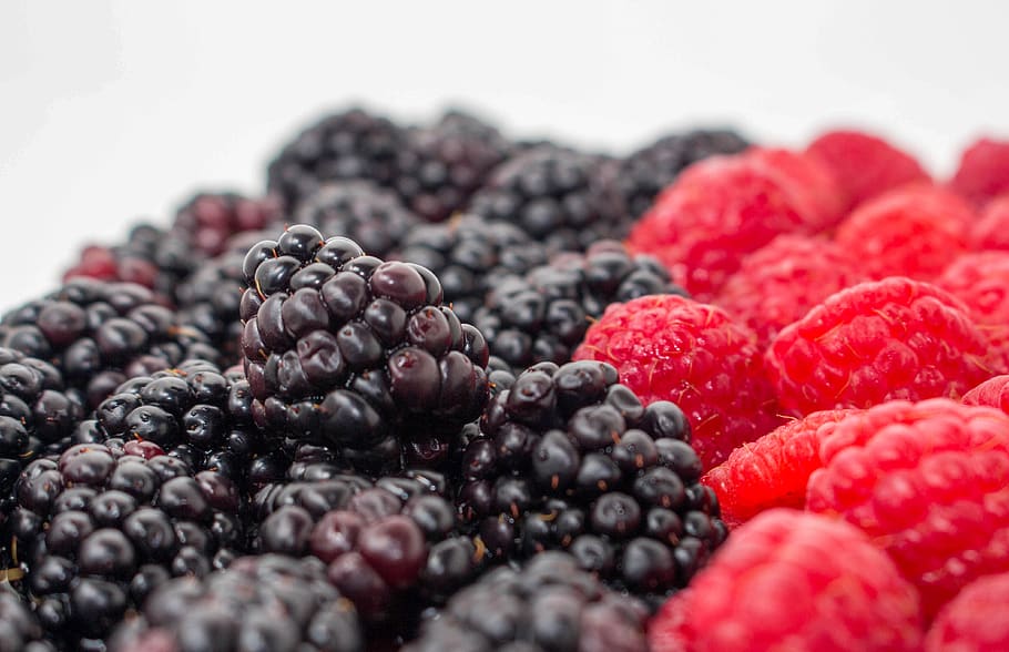 raspberry, blackberry, fruit, blueberry, food and drink, berry fruit HD wallpaper