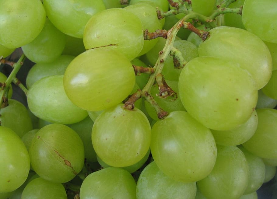 Grape, Fruit, Fresh, Food, green, harvest, ripe, healthy, organic HD wallpaper