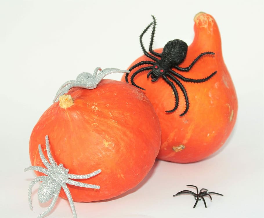 Pumpkins, Halloween, Spin, Black, Silver, happy halloween, vegetables HD wallpaper