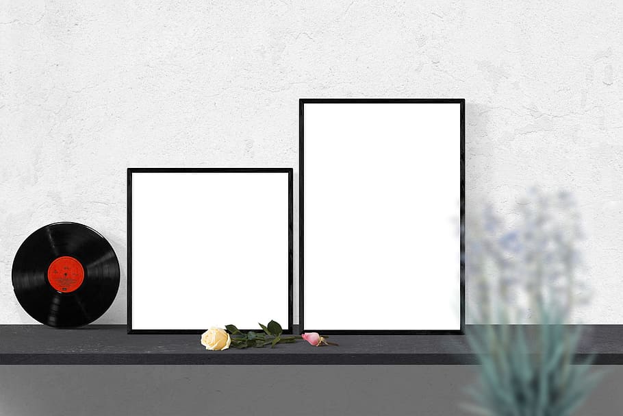 vinyl record on gray surface near white rose, mockup, wall HD wallpaper