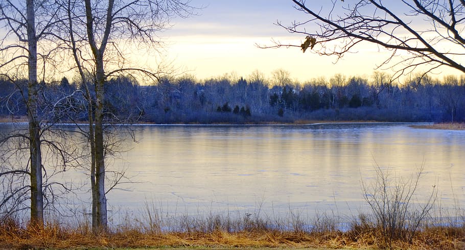 winter, sunset, landscape, forest, park, sunlight, january HD wallpaper