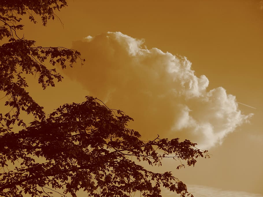 cloud, sky, clouds form, abendstimmung, evening sky, afterglow HD wallpaper