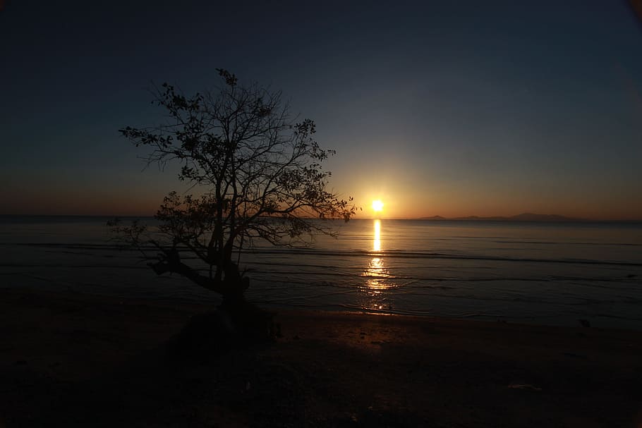 Sunset, Evening, Landscape, Silhouette, sea, reflection, tranquility HD wallpaper