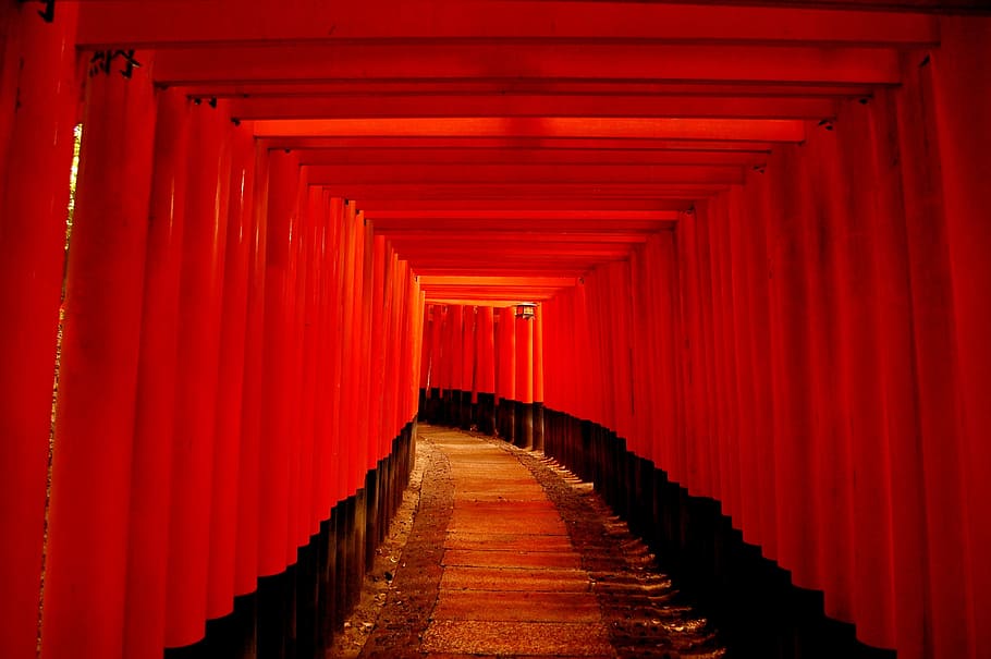 any person not, stage, wood, building, kyoto, torii, red, gradient