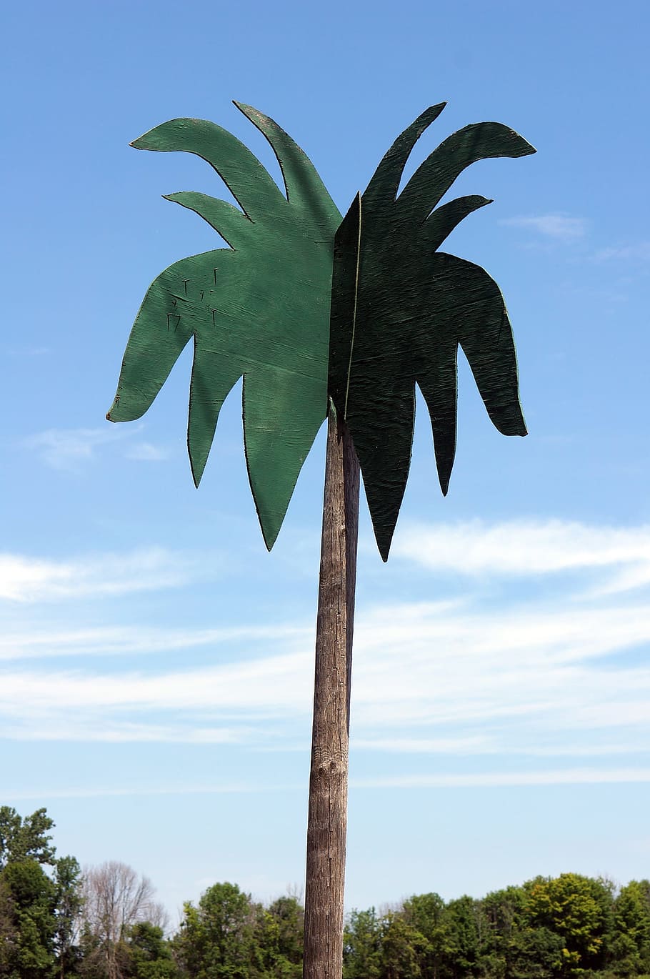 fake, palm, tree, sky, plant, cloud - sky, nature, growth, no people HD wallpaper