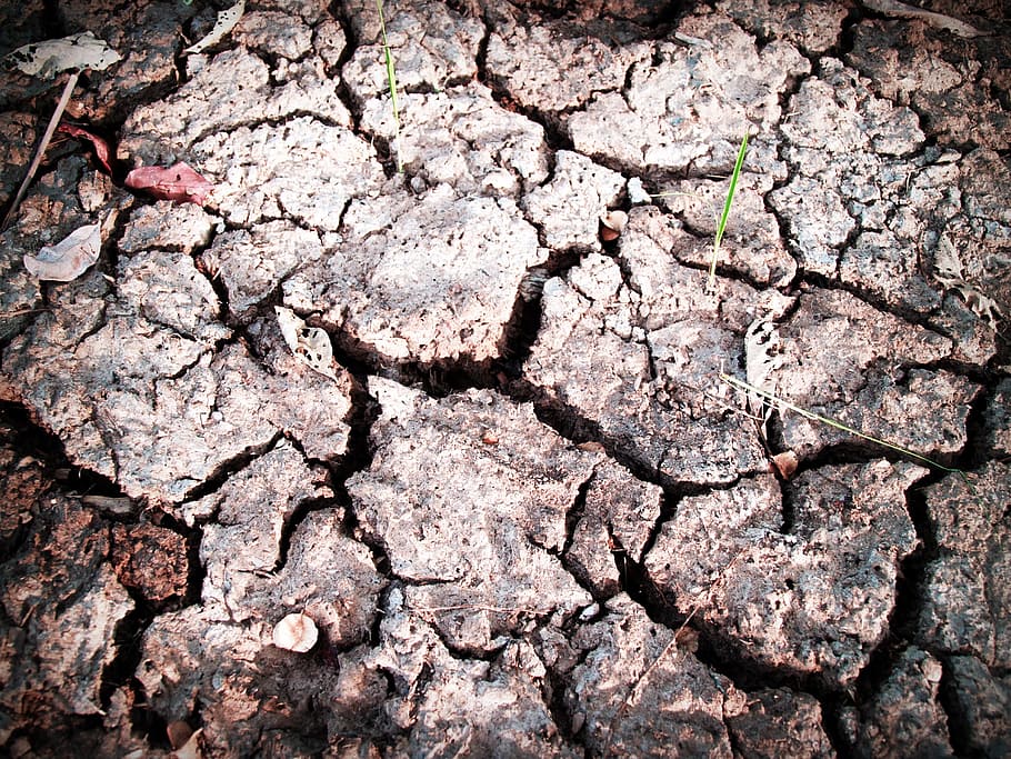 landscape, earth, dry, pattern, clay, close-up, cracks, dirt, HD wallpaper