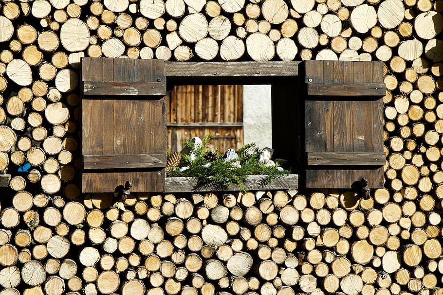 close up photo of wooden window, shutters, ledge, branch, branch sections HD wallpaper