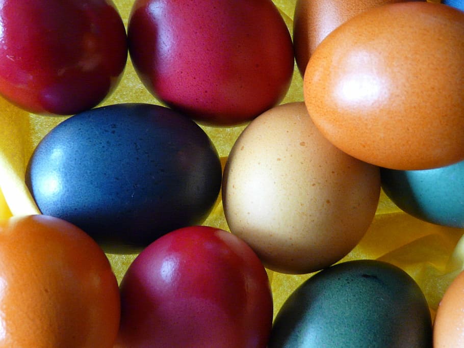 Easter Eggs, Colorful, Paint, eat, food, multi Colored, close-up HD wallpaper