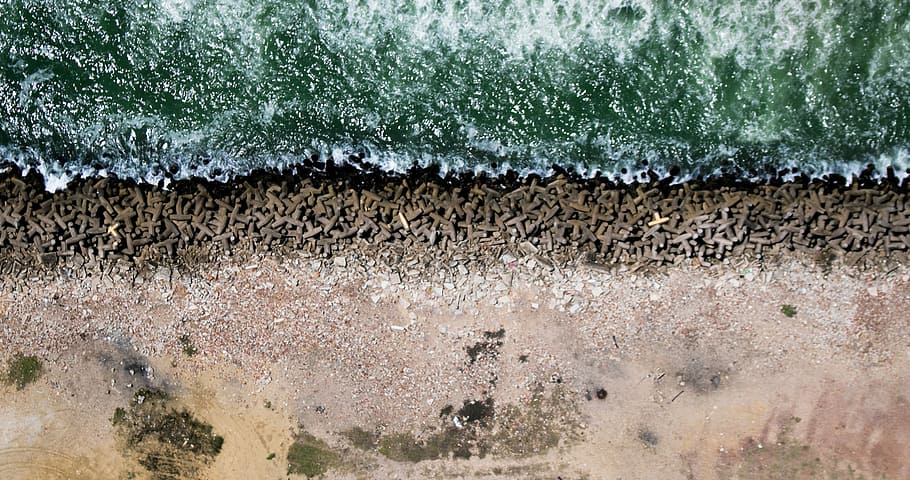 untitled, ocean, sand, beach, drone view, coast, animal, no people HD wallpaper
