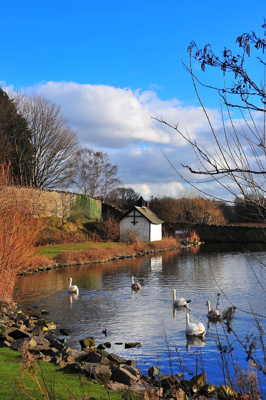 duddingston, edinburgh, loch, pond, wa, arthur's seat, outdoors HD wallpaper