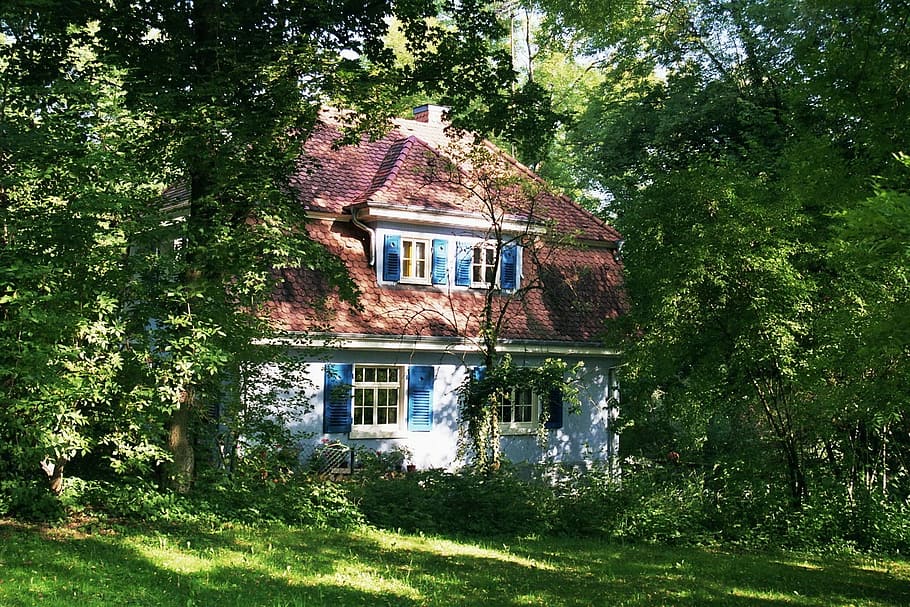 Waiblingen, Home, Forest, blue, hiding place, meadow, nature HD wallpaper