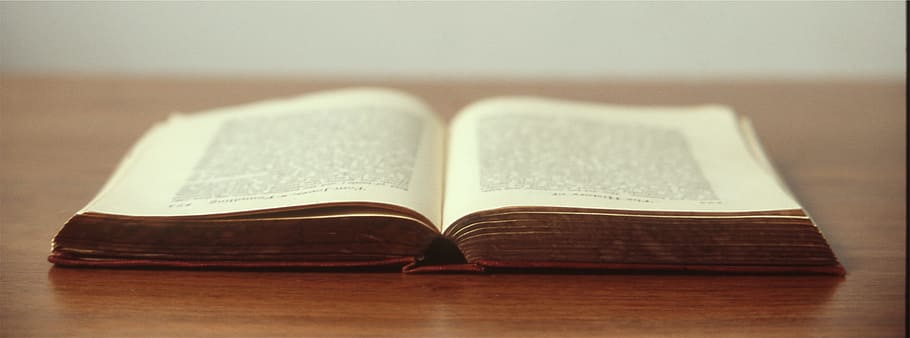 opened book on brown wood, novel, reading, pages, table, publication HD wallpaper