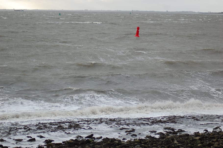 storm, waves, westerschelde, ferocious, water, buoy, zealand, HD wallpaper