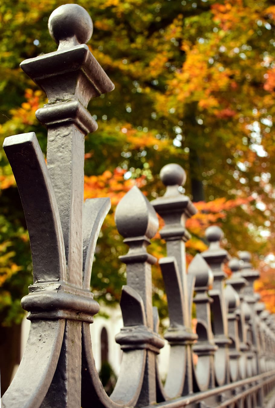 fence, autumn, nature, cast iron, craft, arts crafts, metal, HD wallpaper