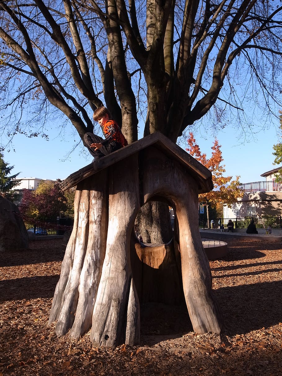 log cabin, play, park, tree, architecture, plant, built structure HD wallpaper