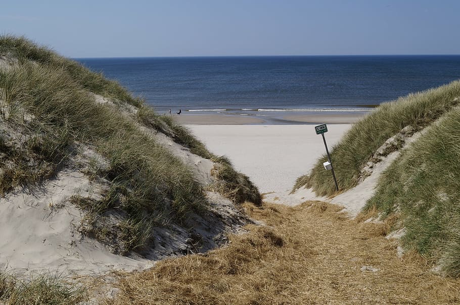 beach, dune, sea, denmark, water, horizon, horizon over water HD wallpaper