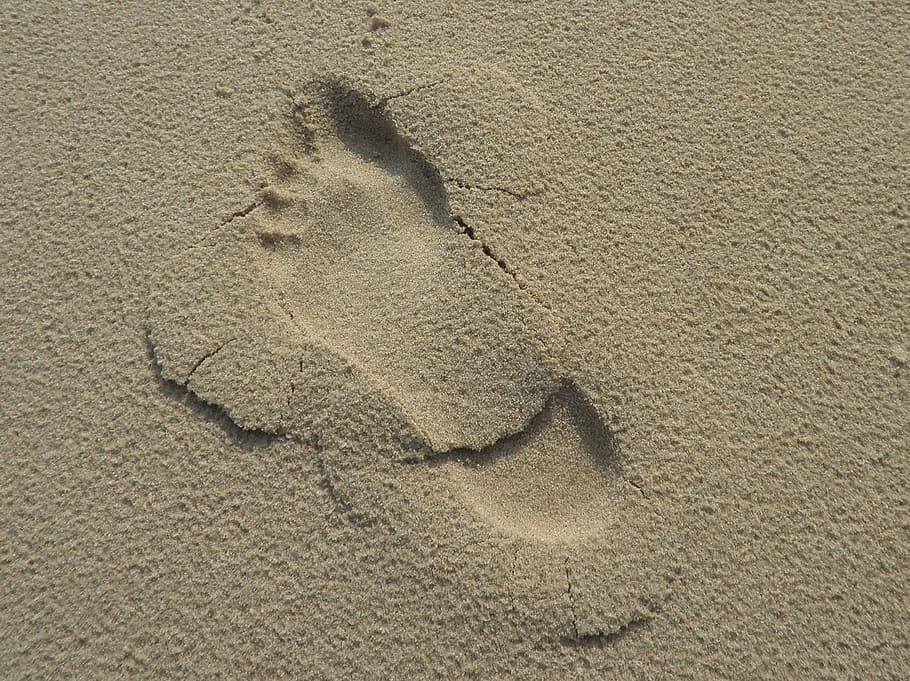 footprint, sand, beach, human, tracks in the sand, barefoot HD wallpaper