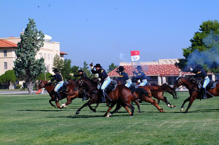 cavalry, army, reenactment, horses, grass, nature, outside HD wallpaper