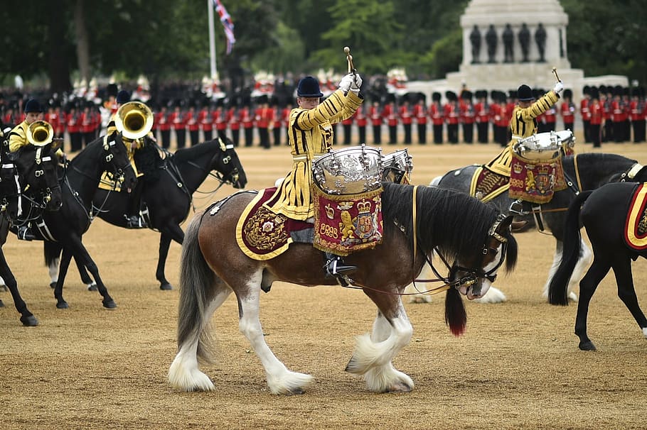 people riding on horses with drums, ceremony, military parade