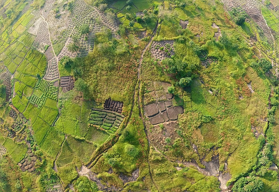 aerial photography of green grass field, areal photography of green grass HD wallpaper