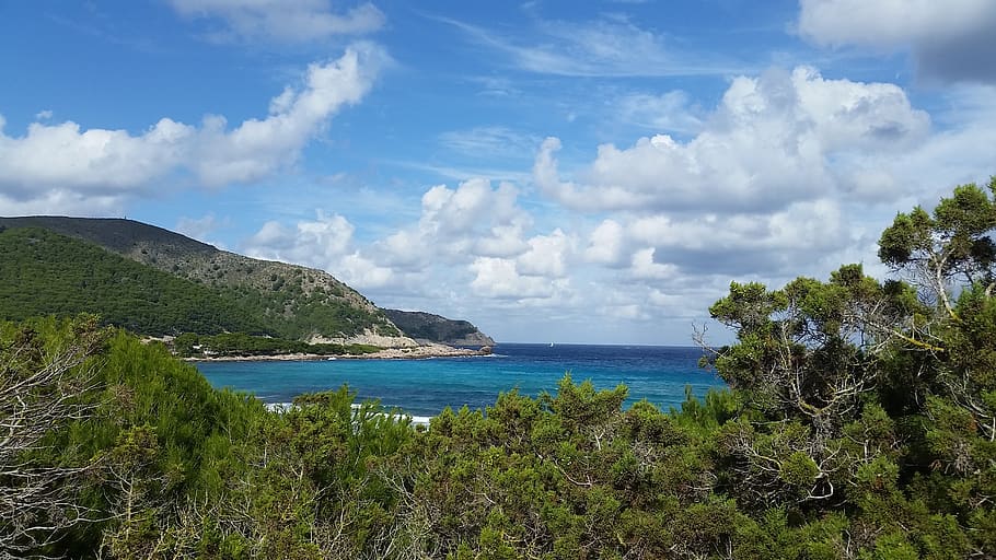 mallorca, mediterranean, beach, vacations, forest, water, cloud - sky HD wallpaper